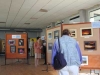 expo1.jpg